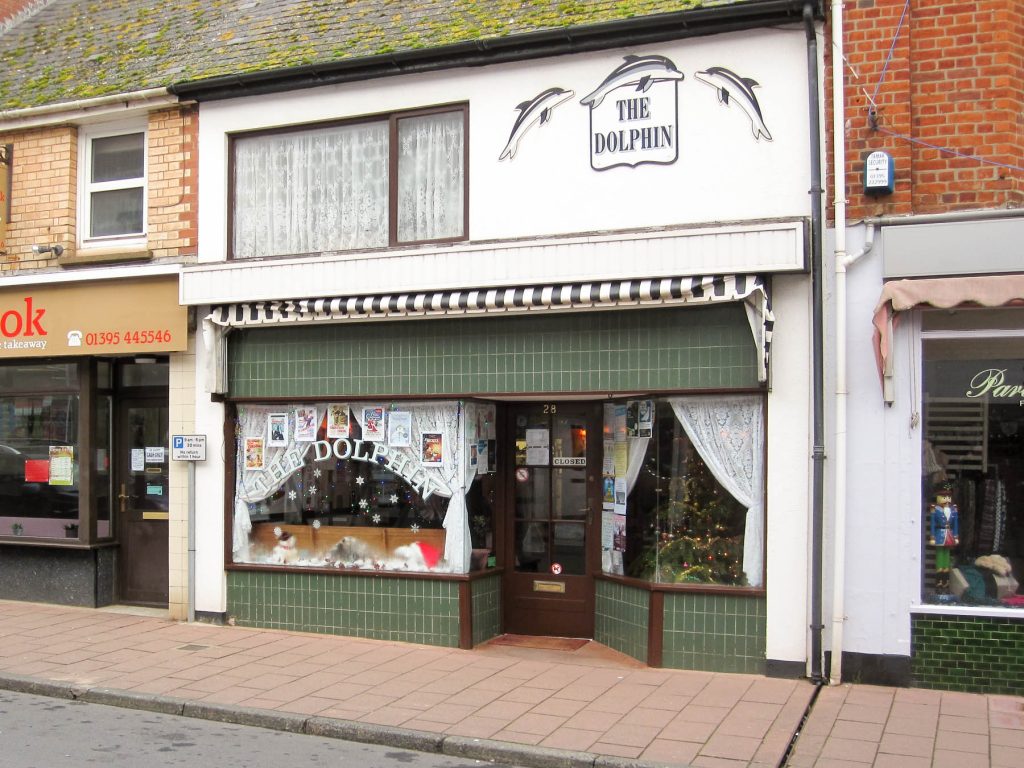 Dolphin - Budleigh Salterton