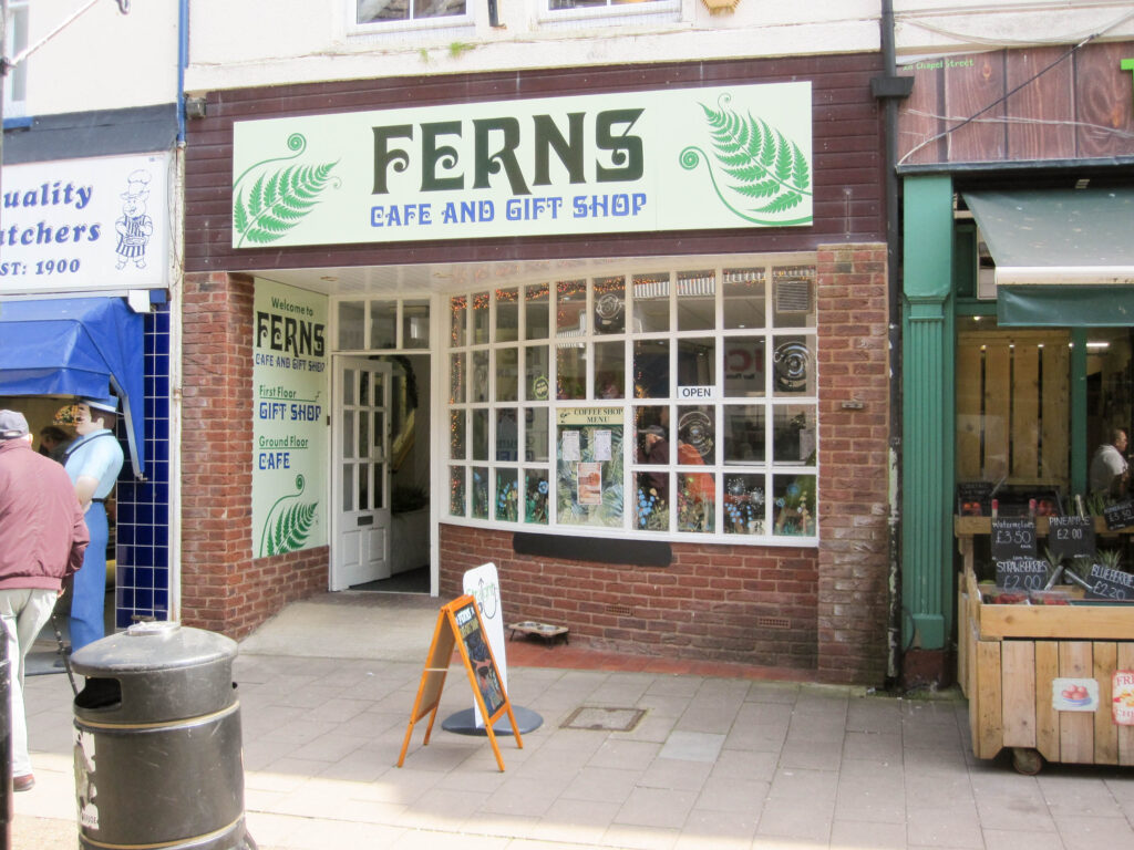 Ferns - Exmouth