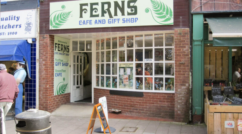 Ferns - Exmouth