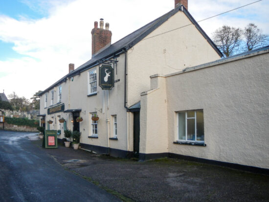 White Hart - Woodbury